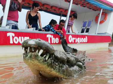 Crocodile safari - photo 12